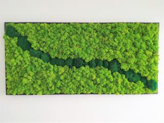 Machový obraz v čiernom ráme 57cm x 123cm