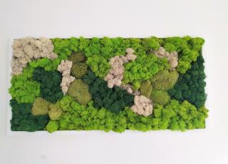 Machový obraz- viacero druhov machu 40cm x 80cm