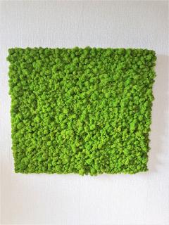 Machový panel 90cm x 100cm