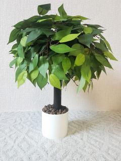 Umelý stromček- fikus zelený 50cm