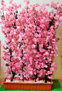 Zástena sakura 160 cm x 100 cm