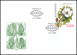 FDC 715 - Ochrana prírody: Botanická záhrada UPJŠ v Košiciach – magnólia veľkokvetá
