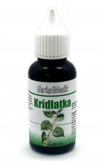 Herballmedix Krídlatka japonská - Tinktúra, kvapky 30ml