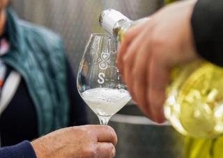 Frizzante Muškát Moravský + Savignon CUVÉ 2023