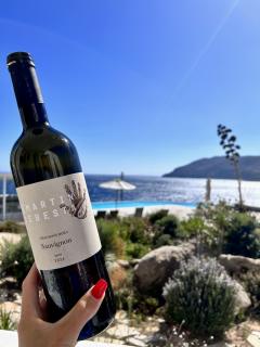 Sauvignon 2022