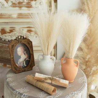Dekoratívna tráva pampas - ZĽAVA 30% Farba: Tyrkysová