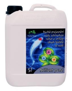 Briliant Pond 5l (proti zelenej vode v jazierku)