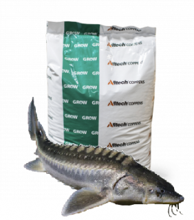 Krmivo pre jesetera, Supreme -10, 4,5mm/25kg  (potápavé krmivo / Jeseter)
