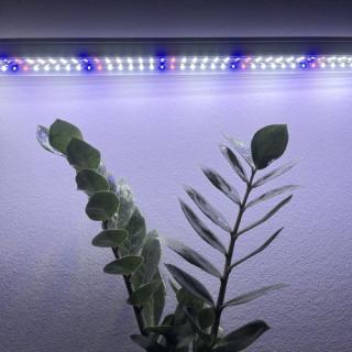 60 cm - LED GROW trubica pre rast rastlín, 10W, plné spektrum - biele svetlo