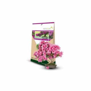 Rhodovit - Mykorhízne huby  pre bonsaje 100g