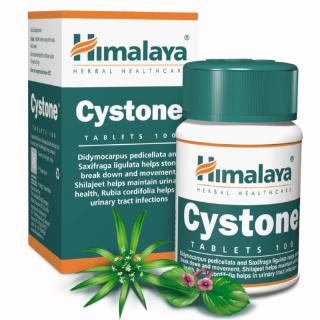 Himalaya CYSTONE - Močové cesty (100tabliet)