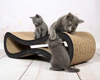 Škrabadlo pre mačky Cat Racer so šírkou 26 cm Farba: Čierna