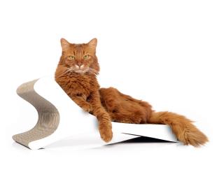 Škrabadlo pre mačky Feline Farba: Biela
