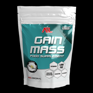 ASL Gain Mass 1000g Príchuť: Čokoláda