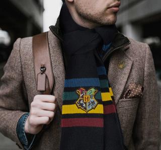 Harry Potter - Šál Rokfort