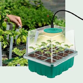 GROW BOX (1x12) KOMPLET 1xLED, 1x 12-miestny box + 20 semiačok chilli