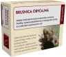 Čaj Brusnica list 50g