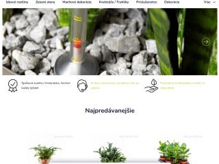 DMGS.sk - izbové rastliny pre váš domov aj firmu od špecialistov